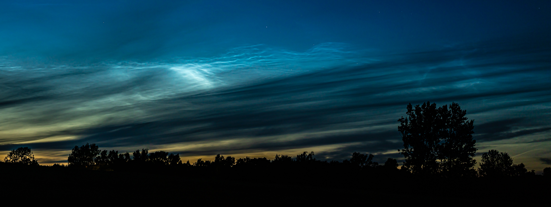NLC-Display
